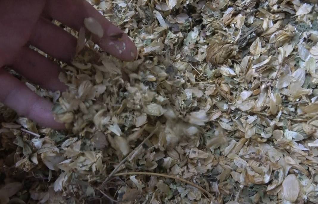 Konya’da uzman isimden bitki çayı uyarısı: Problemlere yol açabiliyor 8